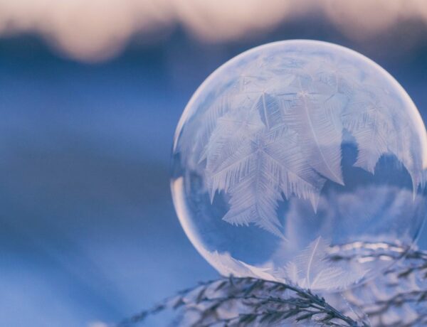 Les écogestes d’hiver : c’est de saison !